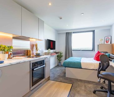 True Studio Plus - Photo 4