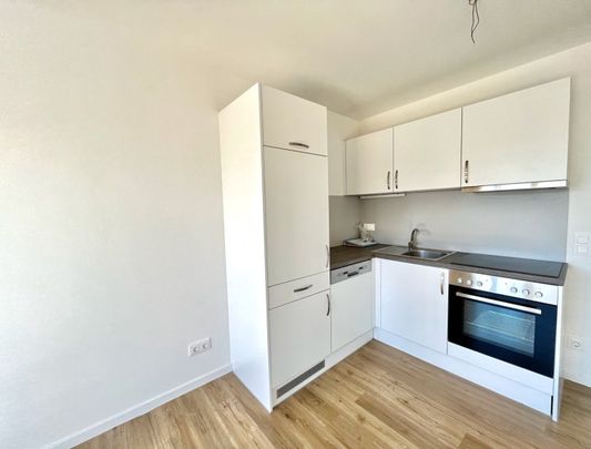 Ruhige Terrassenwohnung in Wels / Lichtenegg - Foto 1