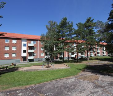 Sädesbingen 50 - Foto 3