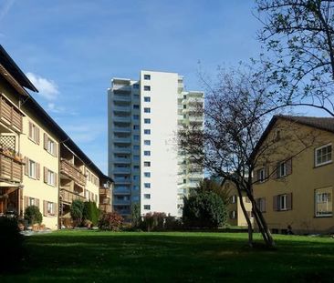 2.5 Zimmer, 61 m², 2. Stock - Photo 4