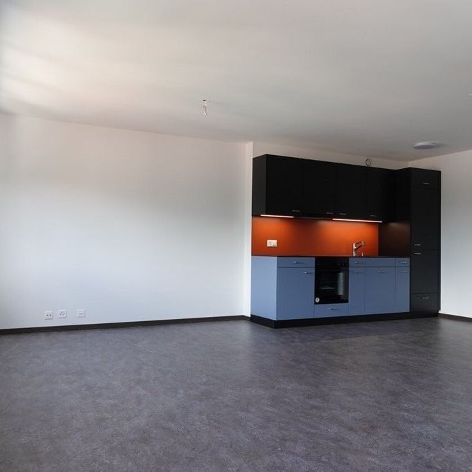 JOLI LOGEMENT PROCHE DE TOUTES COMMODITES - Foto 1