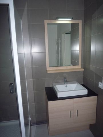 Location Appartement 1 pièce 35m² GRENOBLE 38000 - Photo 2