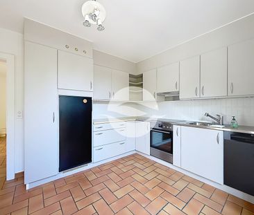 Vésenaz - Charmante villa avec grand jardin clôturé! - Foto 6