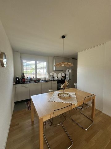 3.5 Zimmer, 80 m², EG - Foto 3