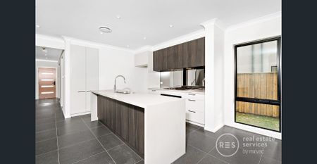 Modern 4 Bedroom House in Georges Cove by Mirvac! - Photo 4