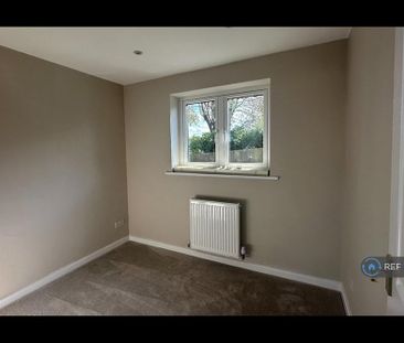 3 bedroom detached house to rent - Photo 6