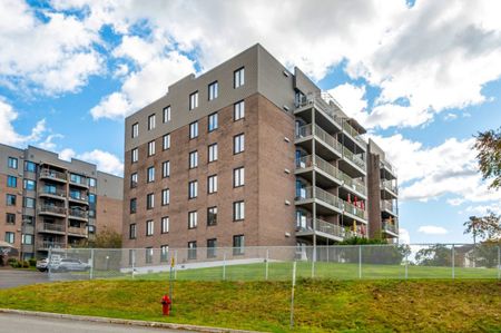 Appartement à louer - Québec (Sainte-Foy/Sillery/Cap-Rouge) (Pointe-de-Sainte-Foy) - Photo 2