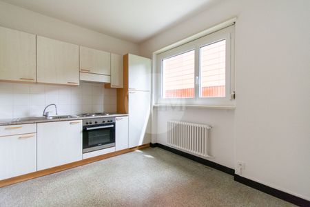 LARGE 2.5-ROOM APARTMENT IN CASSARATE LAKE VIEW - Photo 3