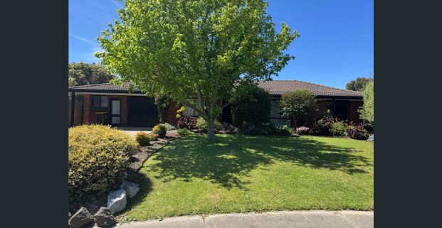 Three Bedroom Brick Home - Photo 1