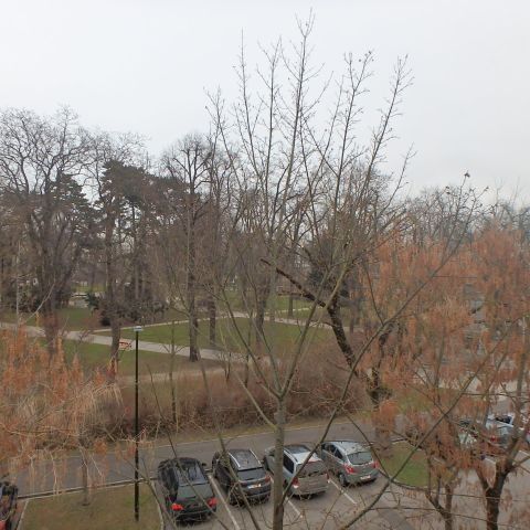 KREMS - STADTPARK, 2-Zimmer Wohnung mit Loggia ab sofort zu vermieten - Foto 1