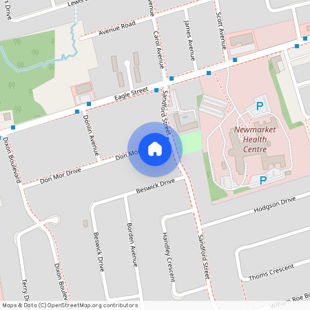 132 Don Mor Drive Unit# Lower Level, Newmarket