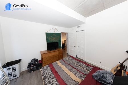 175 St-Vallier Est – Le Gecko - Photo 3