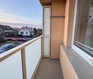 Pronájem bytu 1+1 s lodžií - Věkoše - Hradec Králové - Fotografie 5