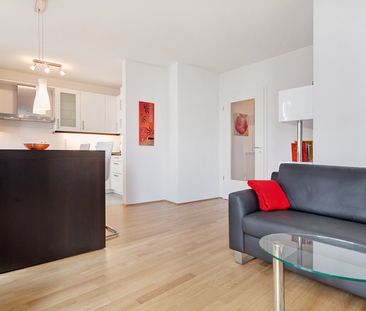 Bright, furnished 2-room apartment in good area for rent - Photo 3