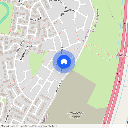 Juniper Close, Bridgwater, TA6