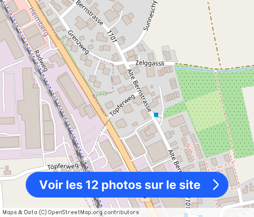 Moderne 4.5-ZW à 99 m² mit Gartensitzplatz - Photo 1