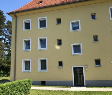 Außergewöhnliche 4-Zimmer-Familienwohnung in idyllischer Grünlage: ... - Photo 6