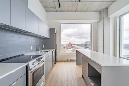 Rue St-Hubert, H2Y 0B9, Montréal - Photo 4