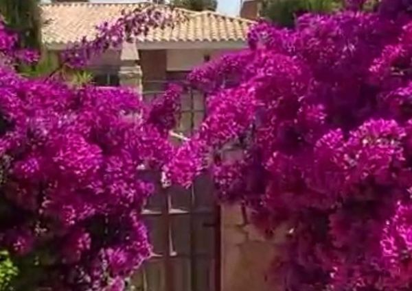 LONG TERM RENTAL. Spacious villa with 6 bedrooms for rent.