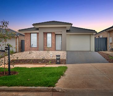 37 Adelong Bvd, Cobblebank VIC 3338 - Photo 4