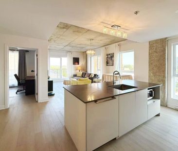 1971 Rue du Havre Montréal (Ville-Marie), QC H2K - Photo 1