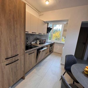Închiriere apartament Premium, 2 camere, Cornișa, 100m de UMF - Photo 3