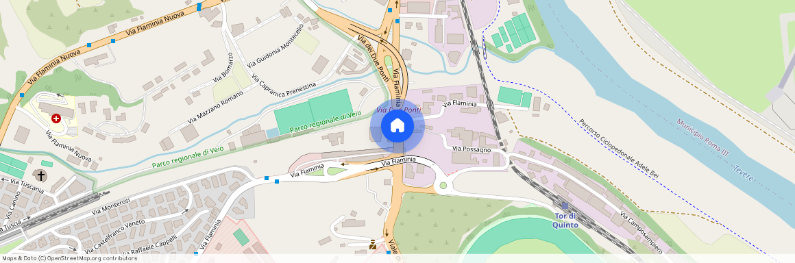 Villa Brasini, Via Flaminia, Roma, RM, Italia, .ROMA