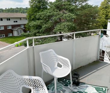 The Continental Apts - ALL INCLUSIVE - Photo 6