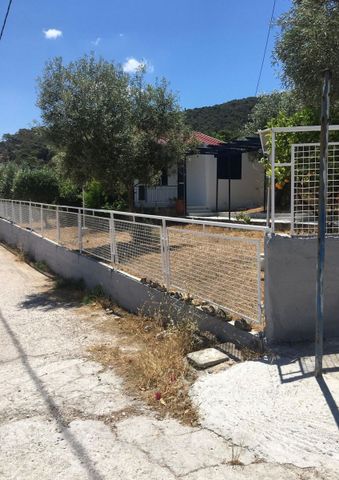 Μονοκατοικία για ενοικίαση - Σαλαμίνα, - Photo 5