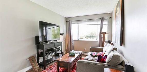 2 Bedroom + Den - Langley Central - Photo 2