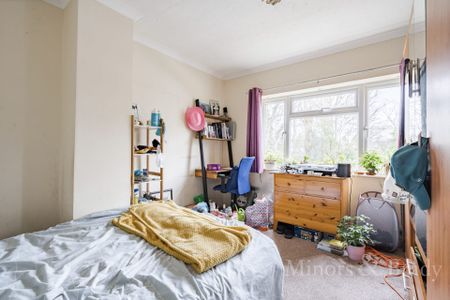 Bowthorpe Road, Norwich - Photo 2