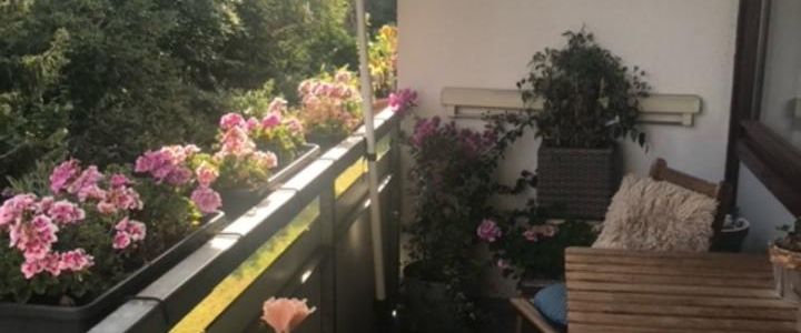 3 Zimmer Wohnung in Billstedt Stadtteil - Foto 1