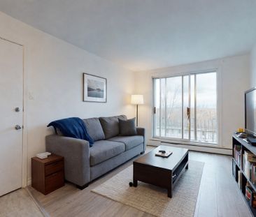 4 ½ LIBRE MAINTENANT - Photo 1