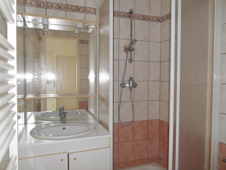 Location Appartement 1 pièce 16m² - Photo 3