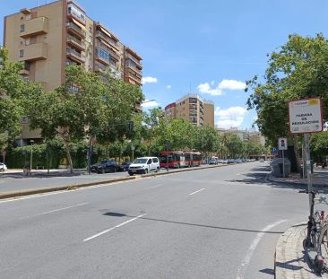 Sevilla - Photo 5