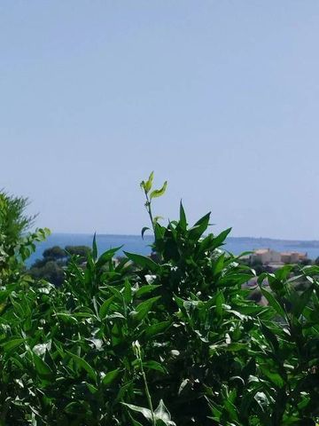 Location Appartement - Photo 3