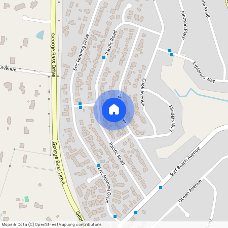 37 Tasman Street, NSW 2536, Surf Beach