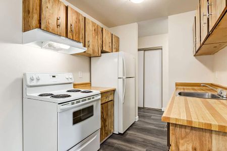 1 Bedroom - Photo 2