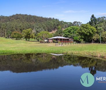 150 Chinamans Creek Road, Tuchekoi QLD 4570 - House For Rent | Domain - Photo 3