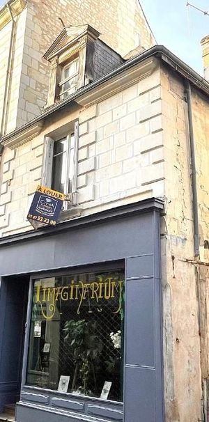 Location Appartement 1 pièce 18m² CHINON 37500 - Photo 2