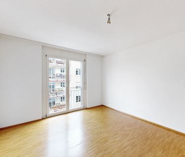 Living on the Rhine River - Photo 3