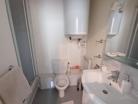 Location Appartement 1 pièce 26m² TOURS 37000 - Photo 5