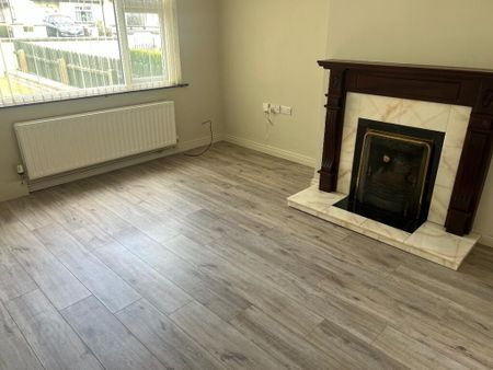 14 St Moninna Park, Meigh, BT35 8SL - Photo 4