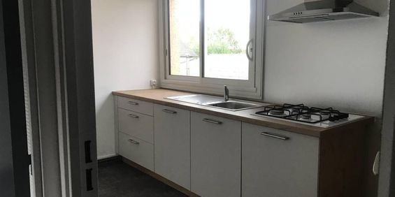 Location Appartement 1 pièce 38m² ALBI 81000 - Photo 3