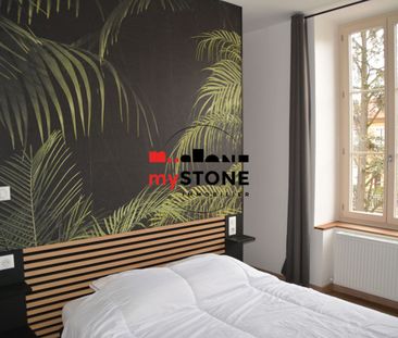 CHATILLON SUR CHALARONNE – A LOUER – T2 ENTIEREMENT MEUBLÉ - Photo 3