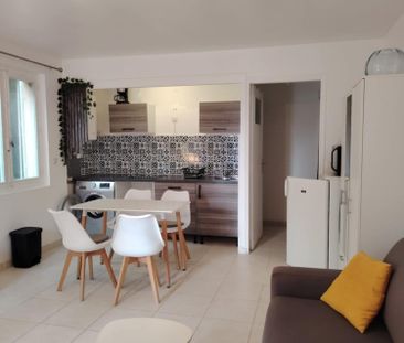 Location Appartement 1 pièce 30m² HYERES 83400 - Photo 1