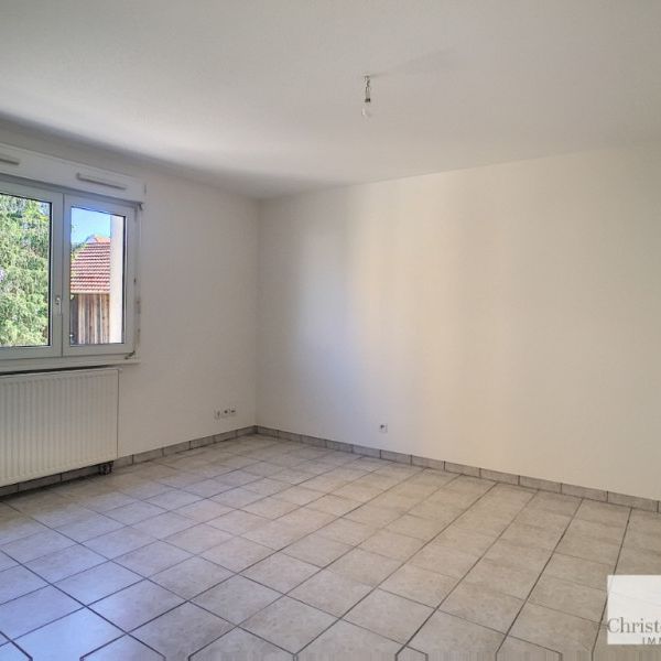 Appartement - ERSTEIN - 28m² - 1 chambre - Photo 1