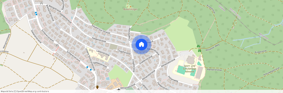 Haldenstrasse 48, Wohnung 1, 8142, Uitikon, Zürich, CHE, Uitikon, Zurich, 8142, Suisse