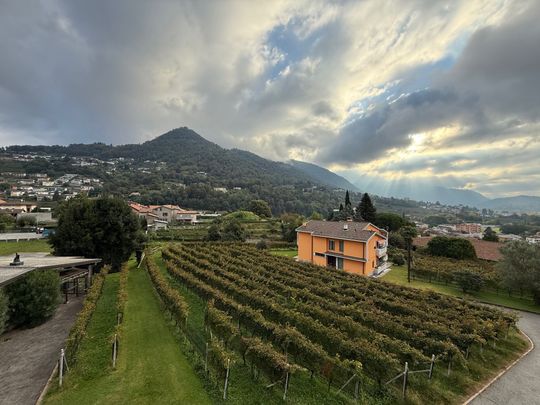 Beautiful 4.5 loc. in very convenient quiet location with views of the vineyards - Photo 1