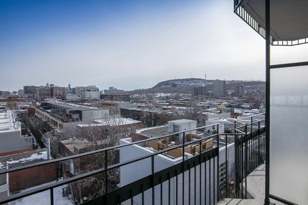 30 Saint-Joseph Est, Montréal, QC - Photo 3